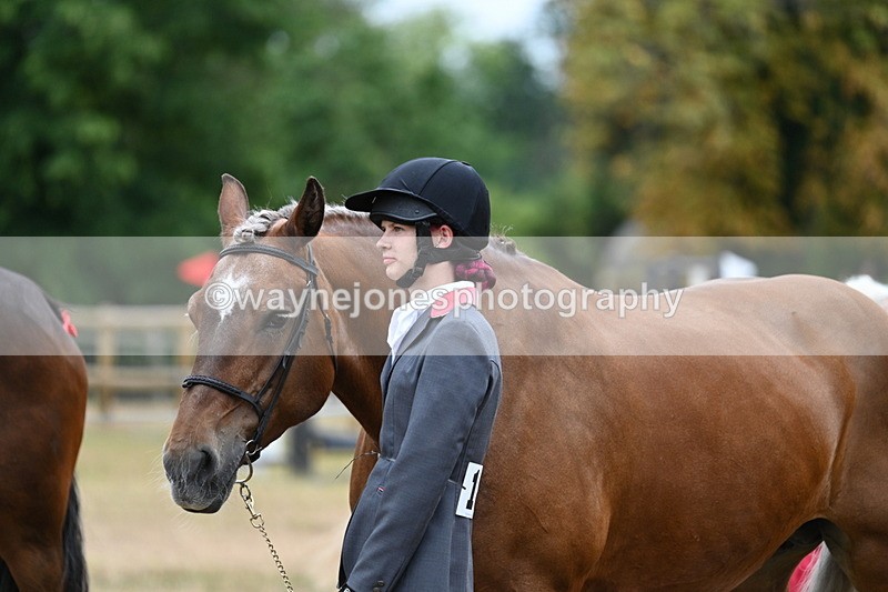 WJ7_9218 - Class 4a Prettiest Mare 14.2hh and over