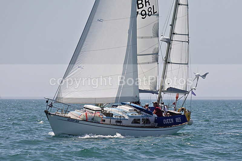 190629 QUEEN BEE GBR3897L D43A4814 2 - 190629 QUEEN BEE GBR3897L