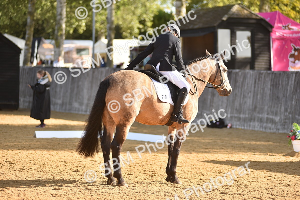 SBM_15778 - D4 - Small Tour Championship Intro 4