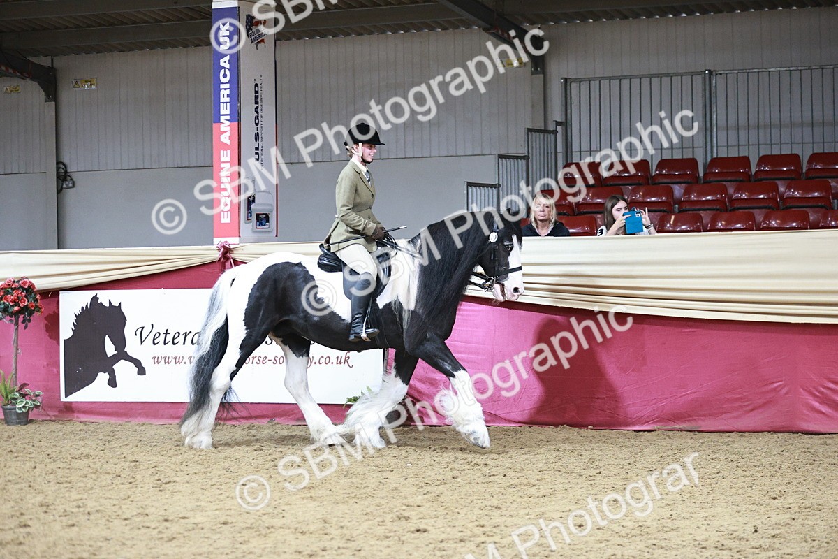 SBM_08751 - Class 12R - Regional Ridden Pre-Vet