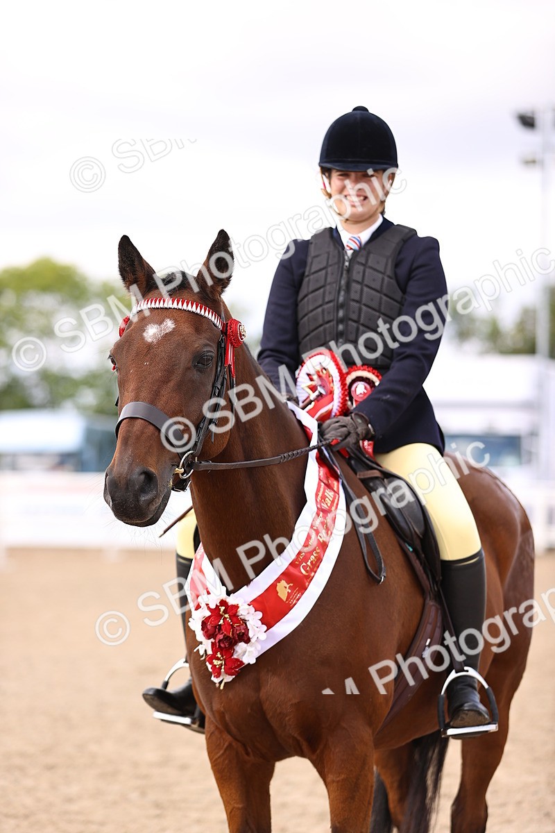 SBM_11679 - Class 408 - Grassroots Ridden - Walk & Trot