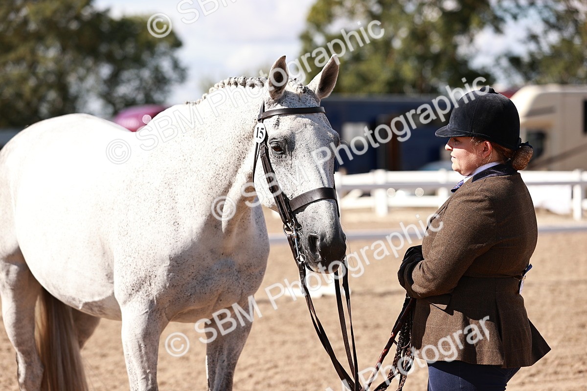 SBM_13345 - class 406 - IH Hunter