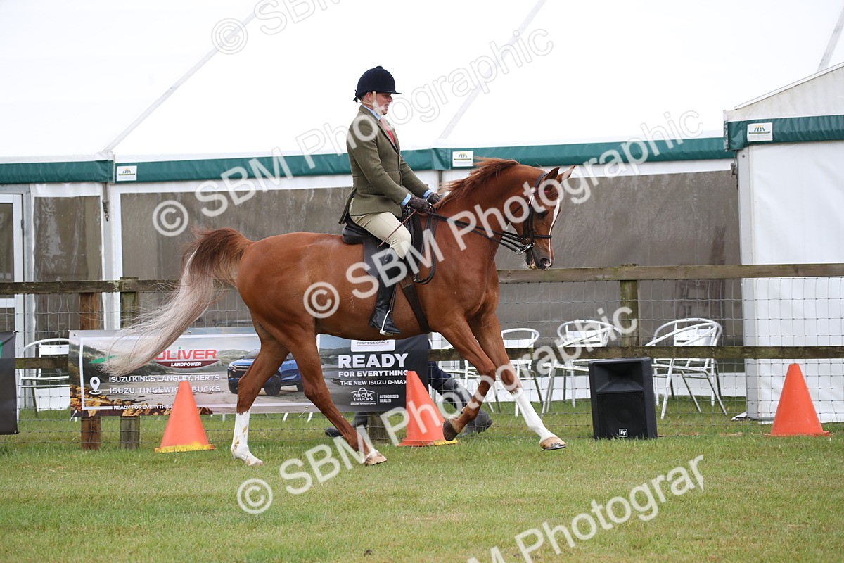 SBM_03621 - Class 21 - 22 - Ridden Arab and Part Bred/Anglo Arab
