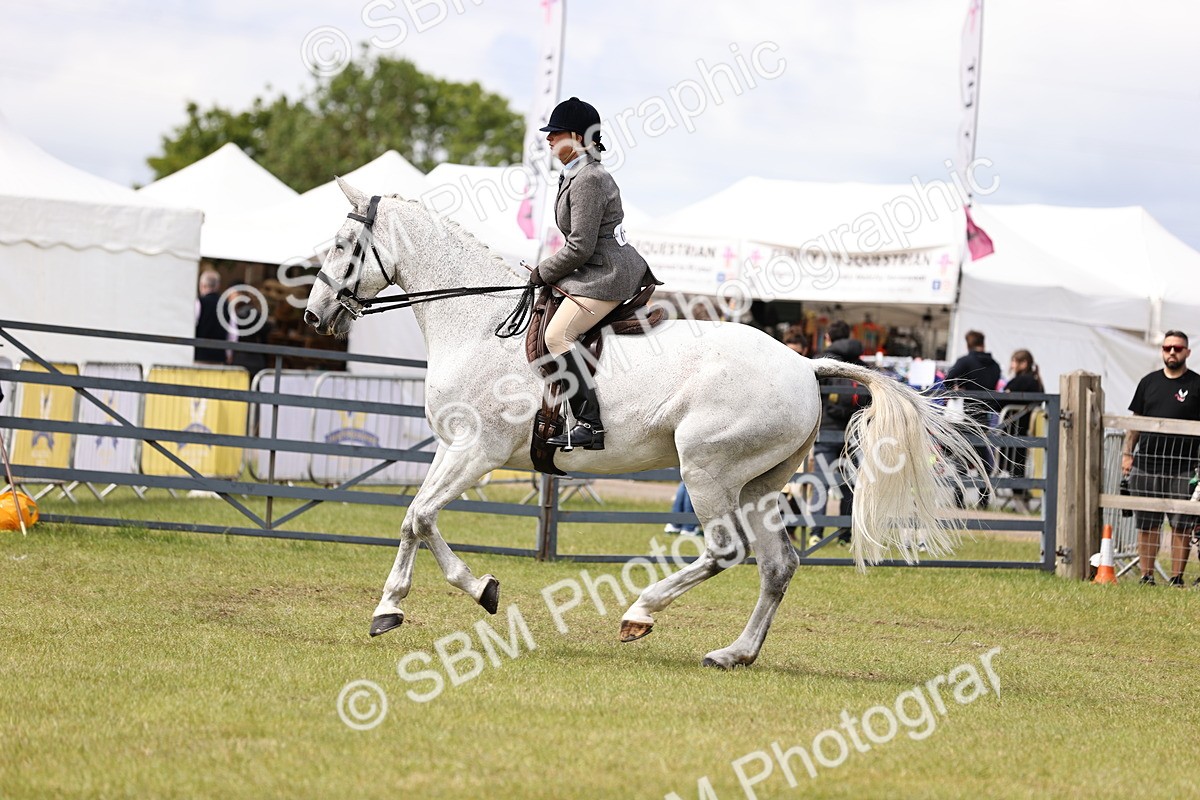 SBM_14694 - Class 88-89 - LIHS BSHA Rising Star of Ridden Hunter Type