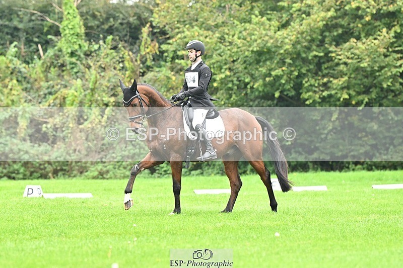 241024-144602-04365 - 584-Tommy.Greengard-I'M.ALL.IN