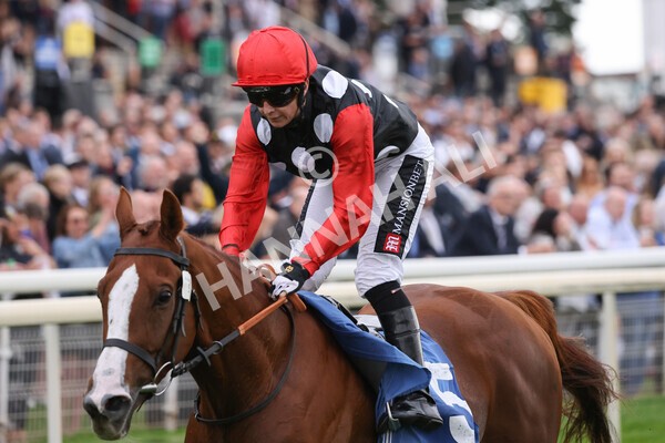 yr24092021r6-28 - Race 6 4.25pm William Hill Pick Your Places Stakes