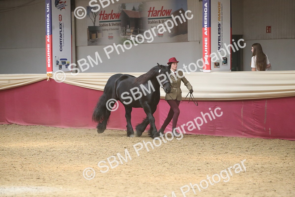 SBM_05494 - Class 9R - Regional IH Pre-Vet