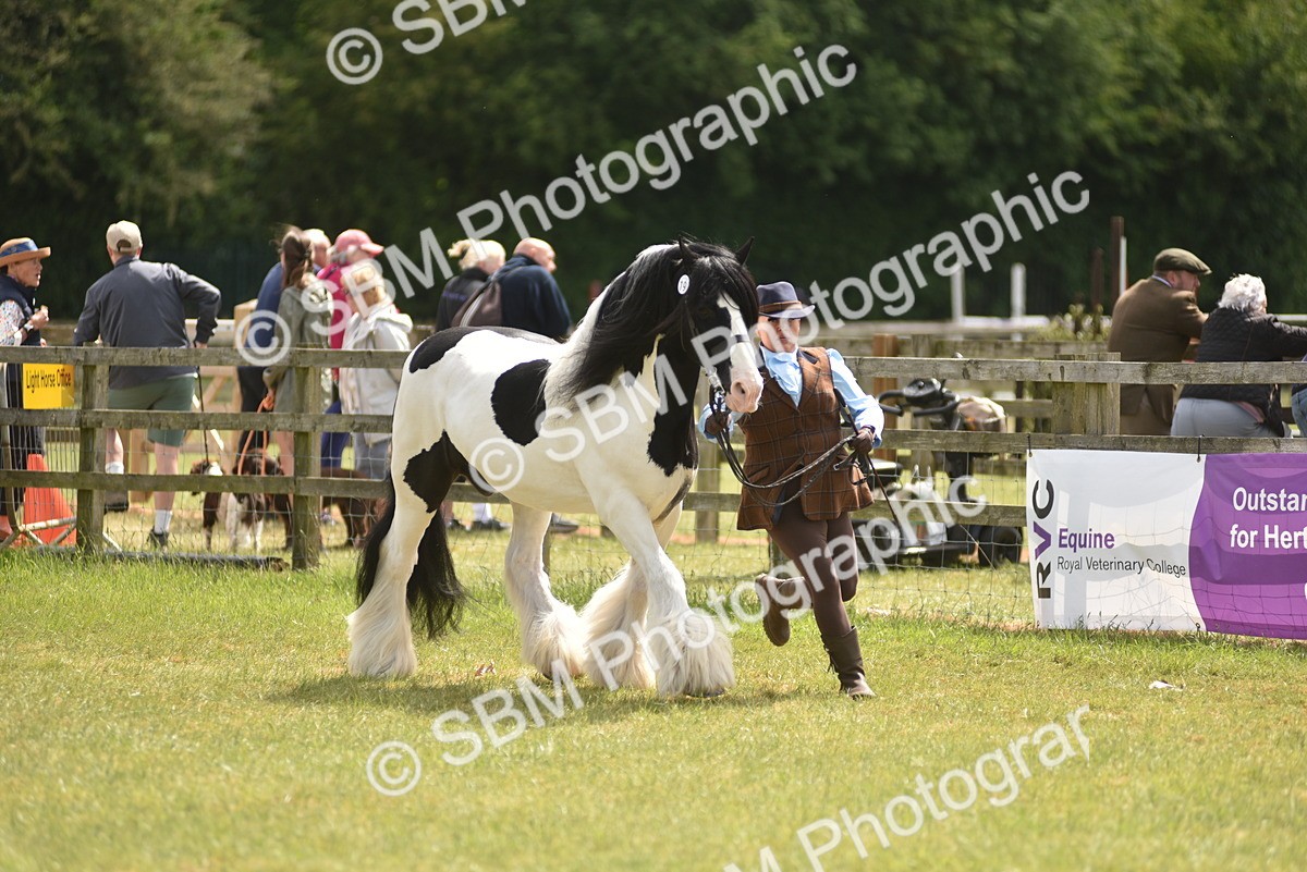 SBM_16052 - Class 117-122 - SSADL RIHS Qualifier