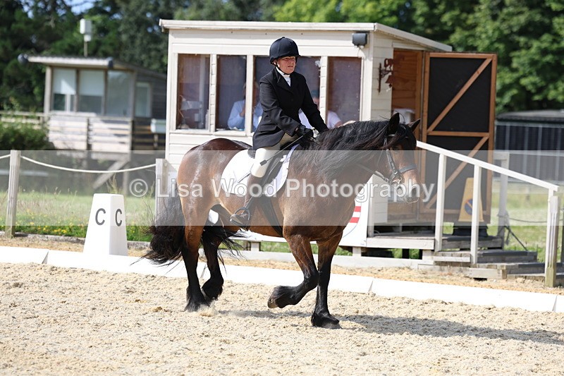 3E7A3174 - Class 1: Intro 1 2024 Section A