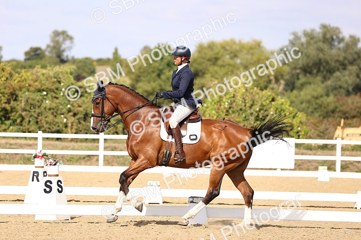 SBM_015204 - Class 8 - Medium 5