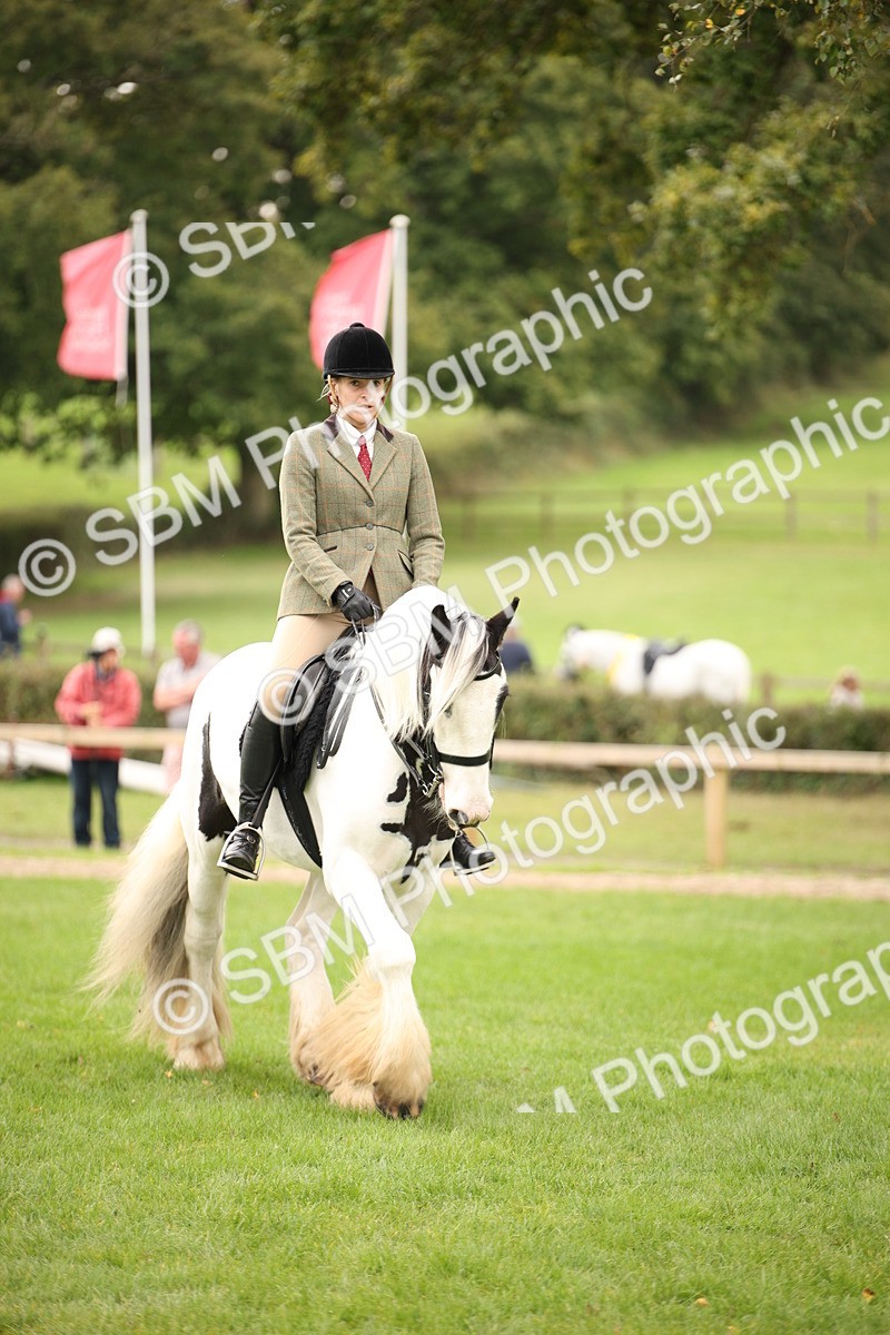 SBM_73538 - S68 - Traditional Cob Ridden