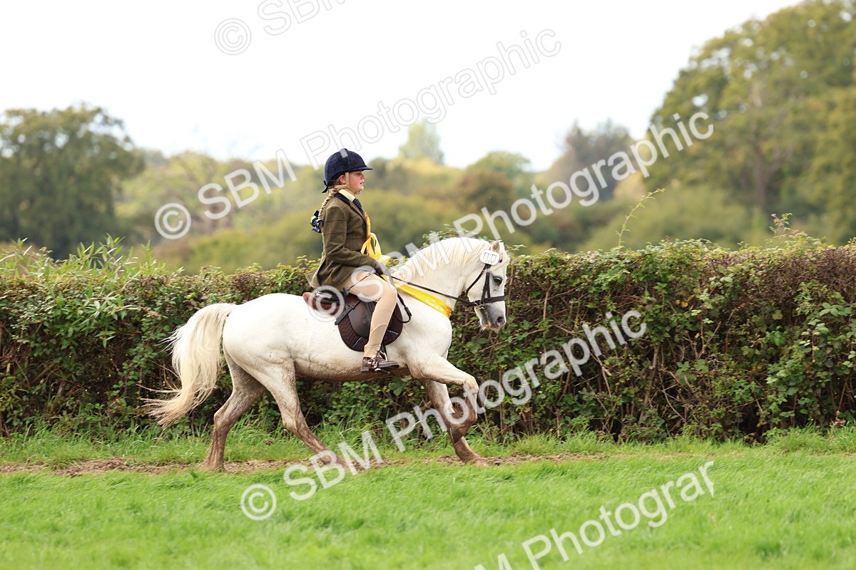 SBM_45148 - S27 - Young Veteran Ridden