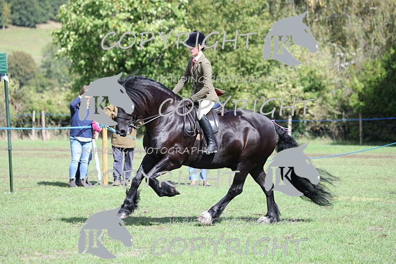 APP_3547 - Class 12 M&M ridden