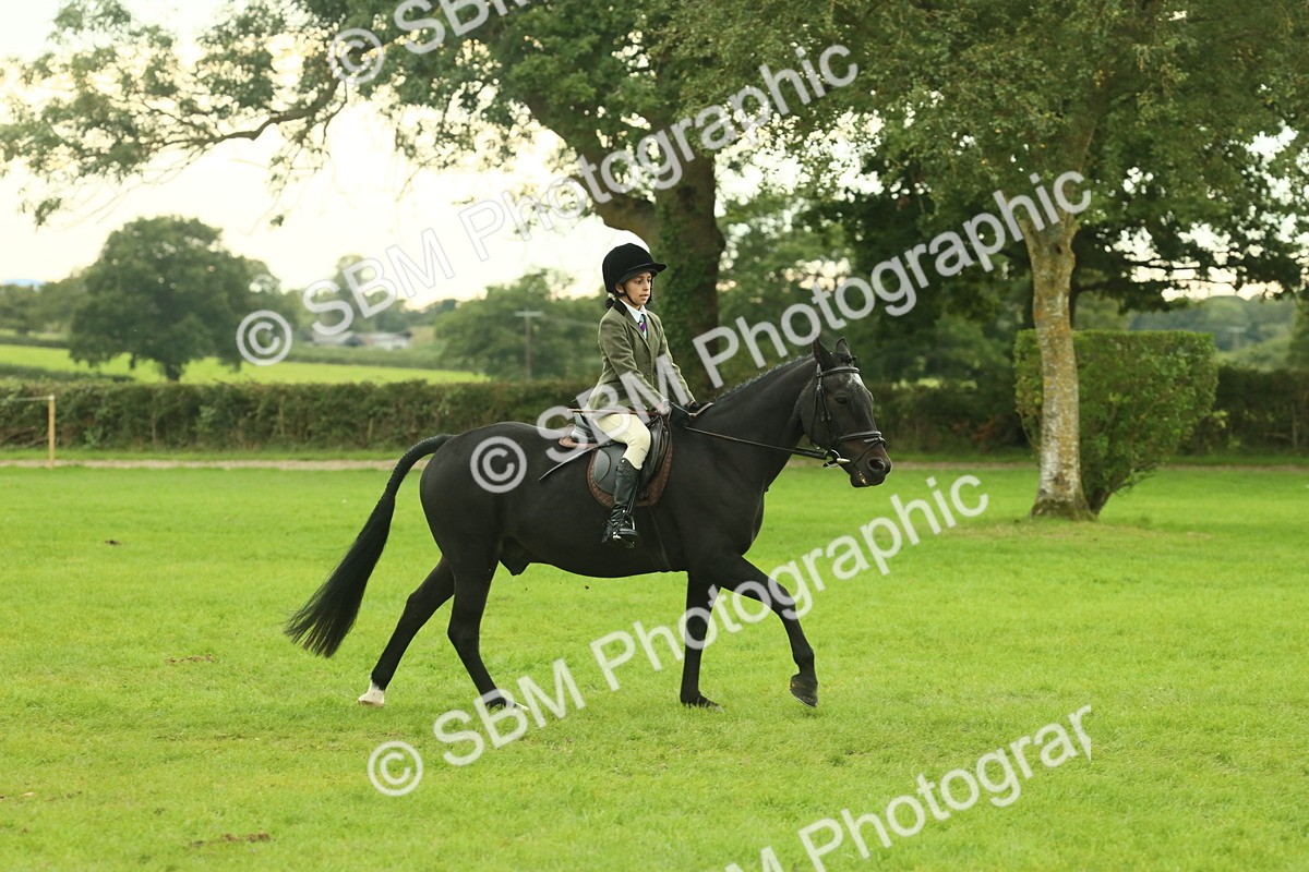 SBM_73951 - S 61 - Show Pony & Show Hunter Pony Ridden
