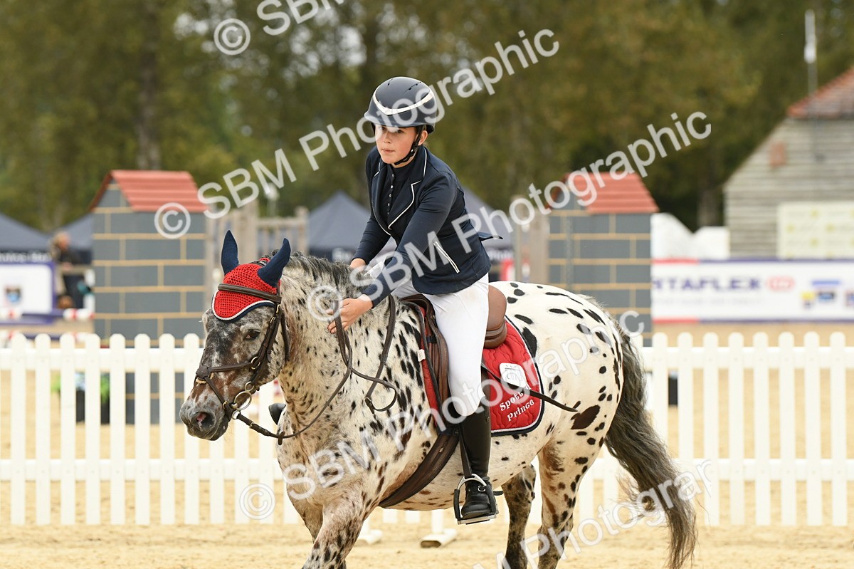 SBM_73104 - J16 - Junior Pony 75cm Championship