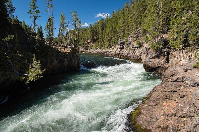  - Yellowstone