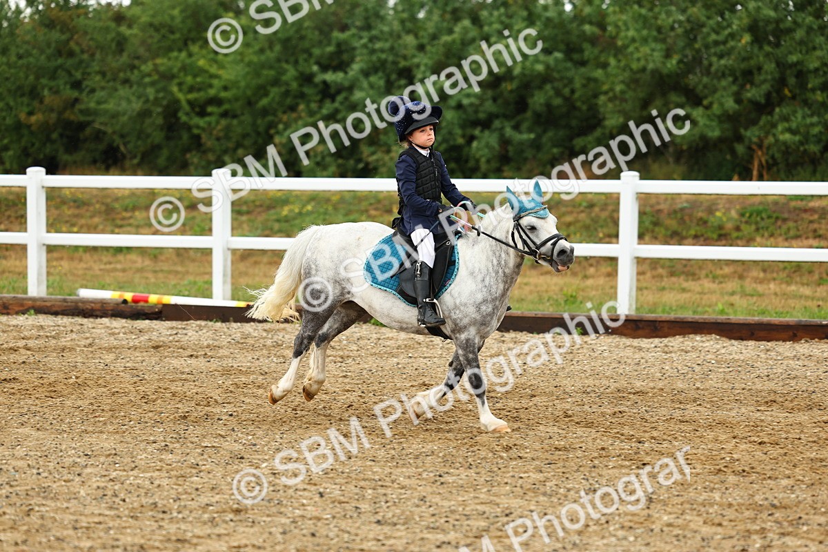 SBM_000795 - Class 3 - 60cm