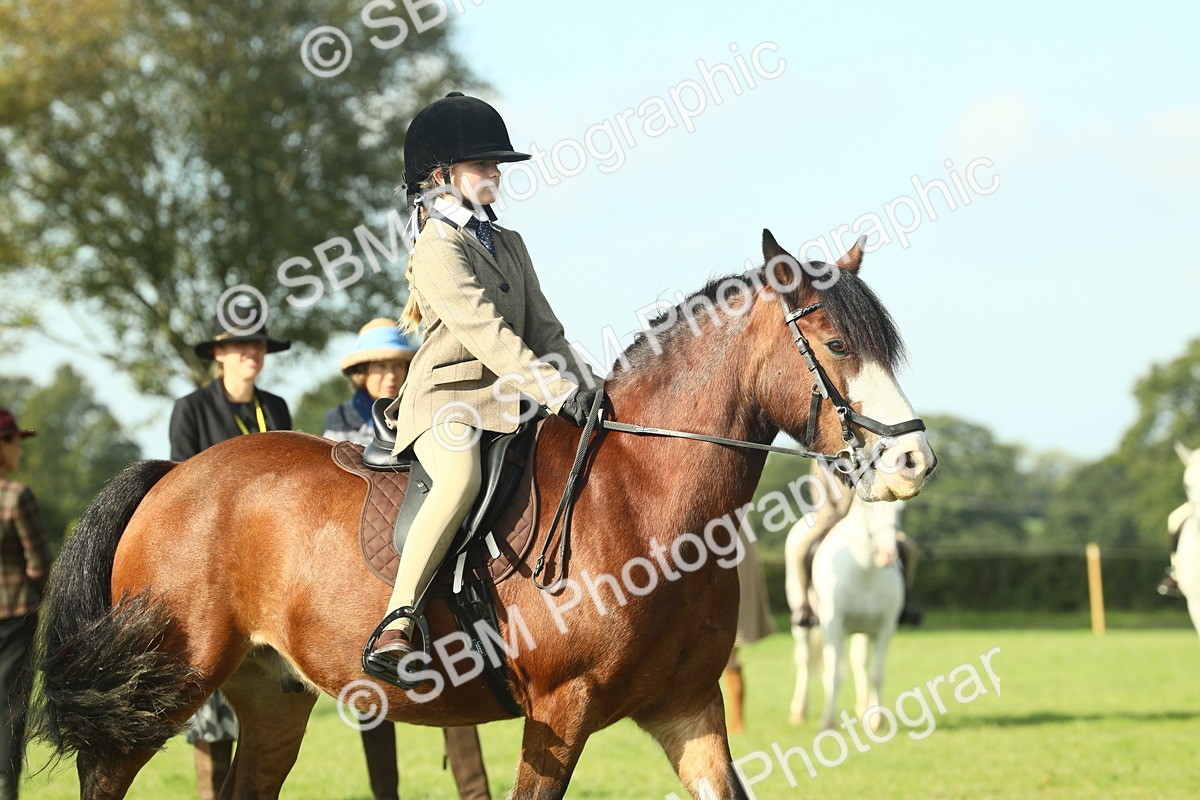 SBM_59917 - S38 - Starters Ridden Showing