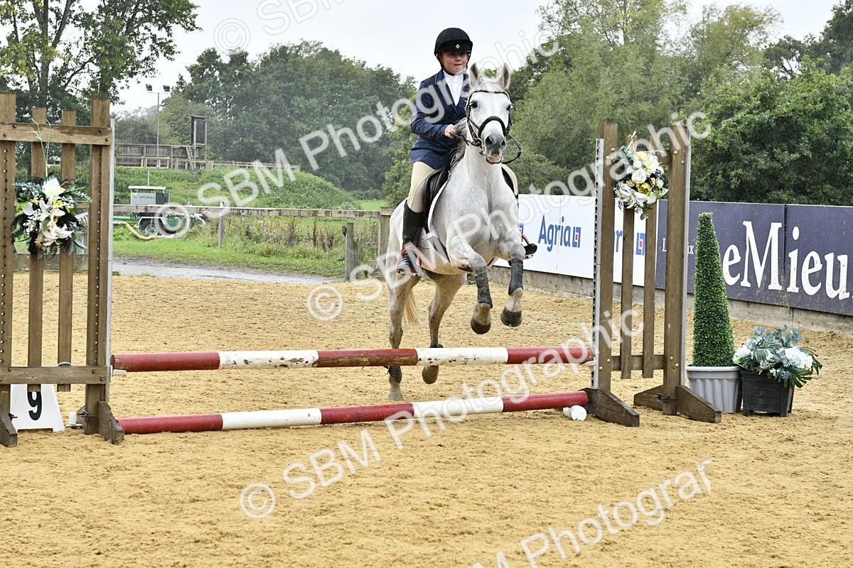 SBM_70839 - J3 - Mini Tour Junior Pony 40cm championship