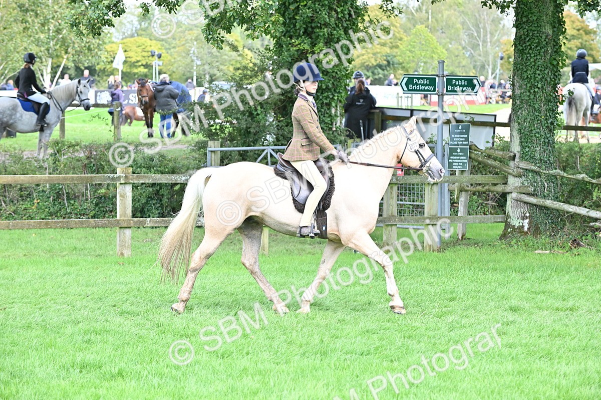 SBM_44503 - S13 - Pony Club Pony