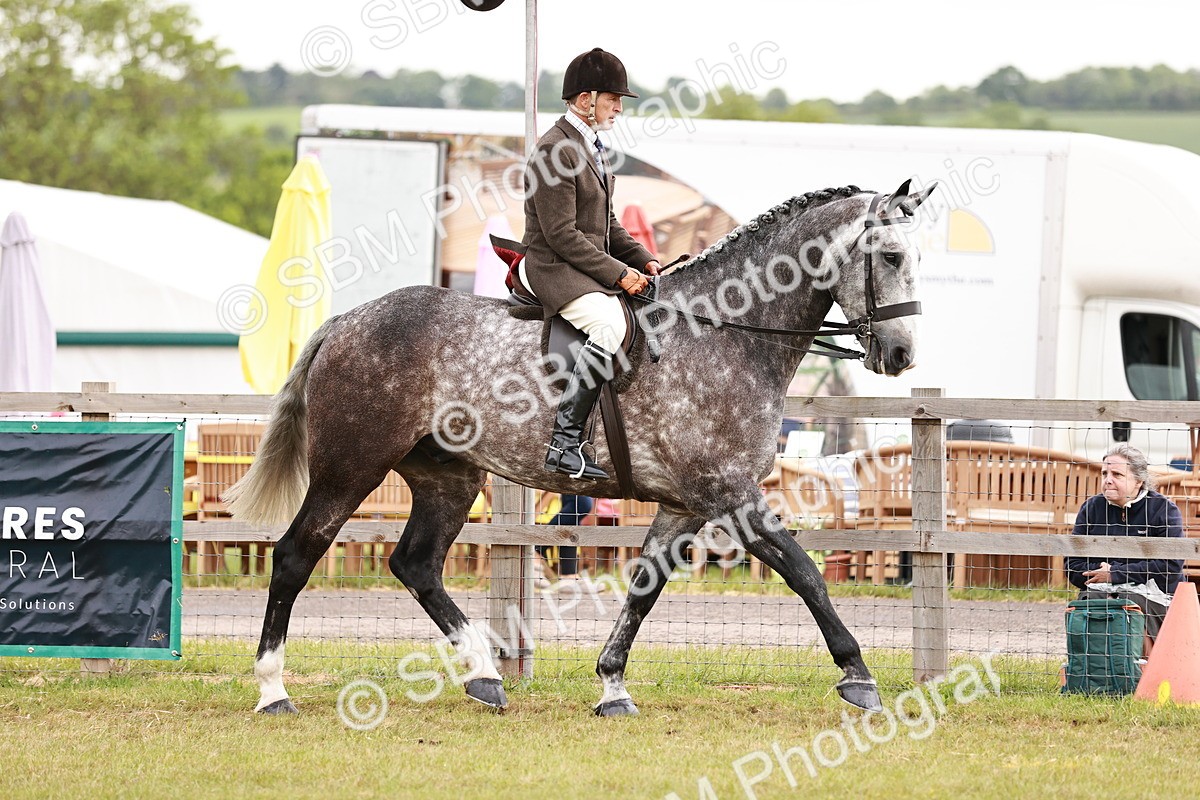 SBM_10909 - Class 81-84 - RIHS Ridden hunters Inc Ladies Hunter