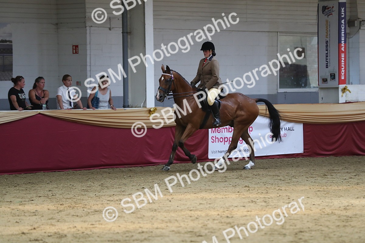 SBM_08395 - Class 11R Regional Ridden Veteran