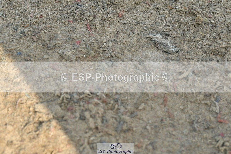 230721A-093053-04752 - Cls 26, 5 Yr Olds 1.10m