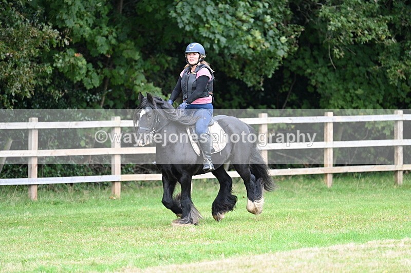 WJ7_7879 - 40cm Time 10:49 to 11:18