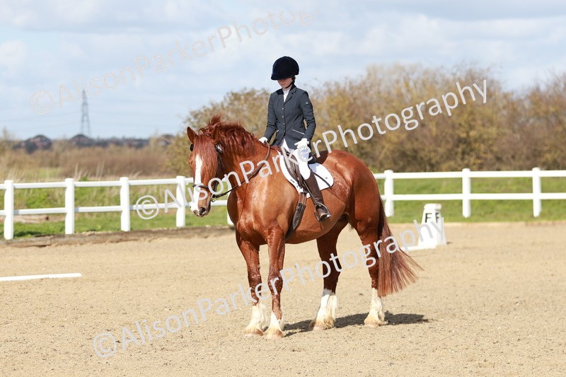 20260314-2940 - DR3 - Prelim 1