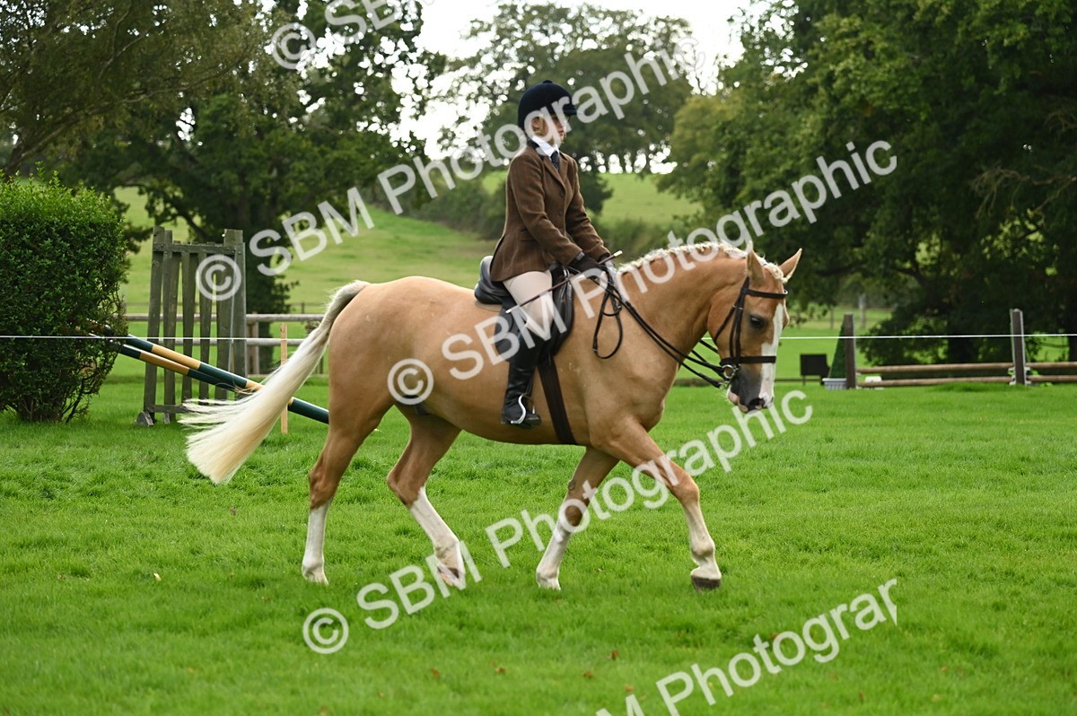 SBM_26361 - S6 - Novice & newcomer Ridden horse