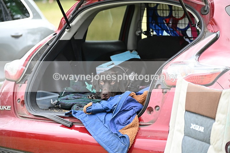 WJ6_4084 - Time at Jump 12:22 to 13:03