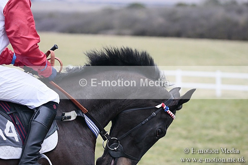 PtP 180218 474 - Combined Services Point-to-Point Larkhill 18/02/18