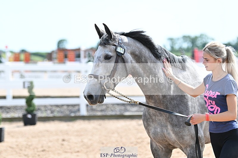 240717A-150559-02533 - Trot Up 3pm to 4pm