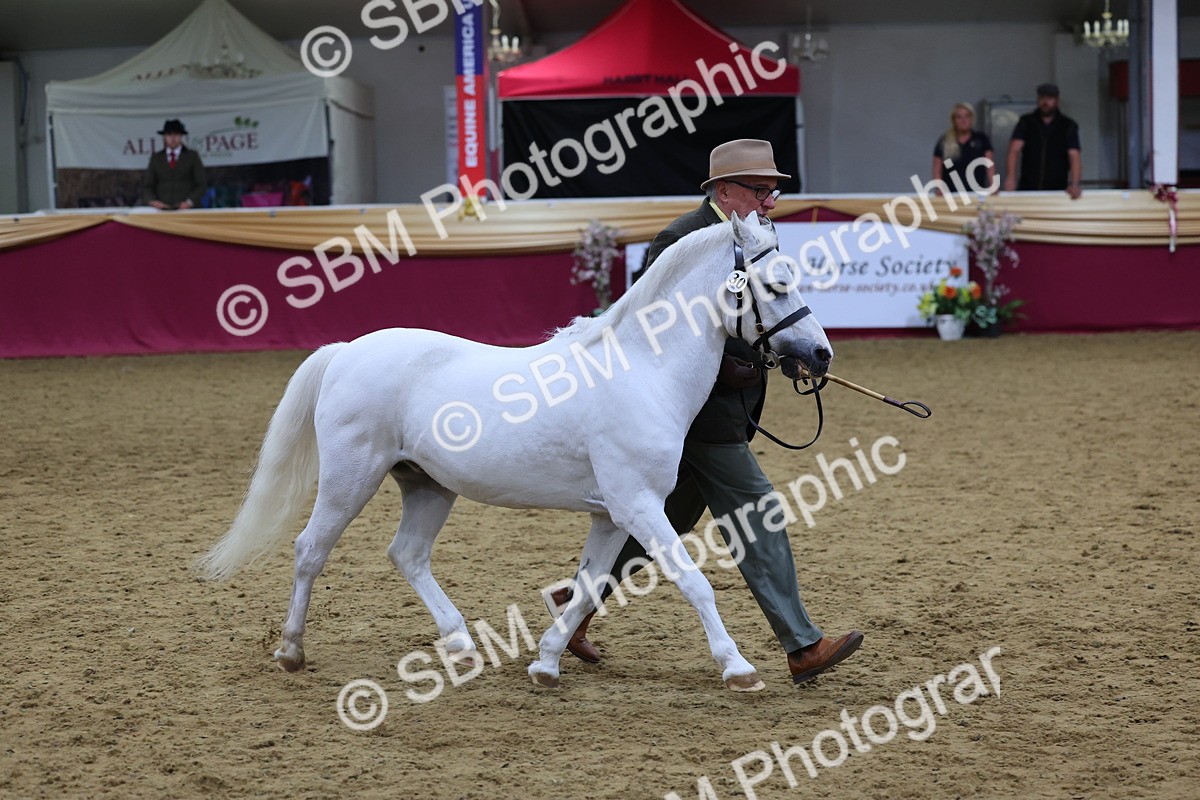 SBM_19450 - Class 901 - Supreme Final - IH Diamond