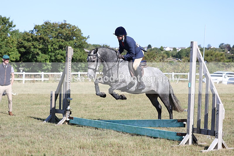 3E7A5456 - Class 3: Working Hunter 70cm