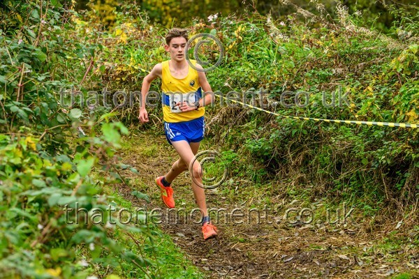 WestRLY25-911860 - Young Male Set Two