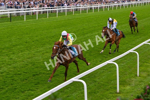 250524-Race 6-Primo Lara-4235 - Race 6 4.30pm Royal Yorkshire Regiment Handicap