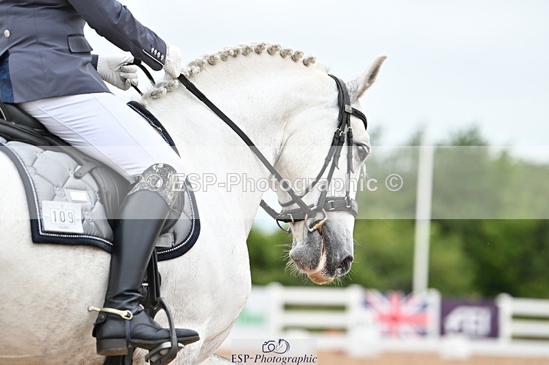 240623A-161418-19887 - Cls 54 BD Medium 73