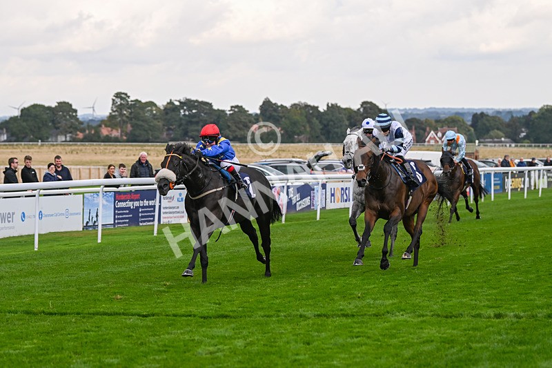 240924-Race 4-Tees Spirit-6246 - Race 4