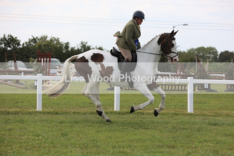 JPP_4146 - Class 24: Working Hunter 90cm