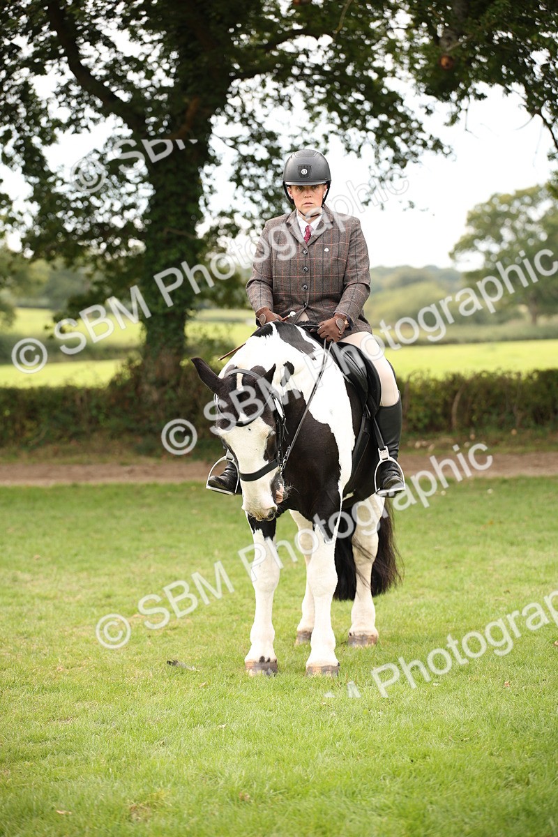 SBM_72361 - S67 - Show Cob Ridden