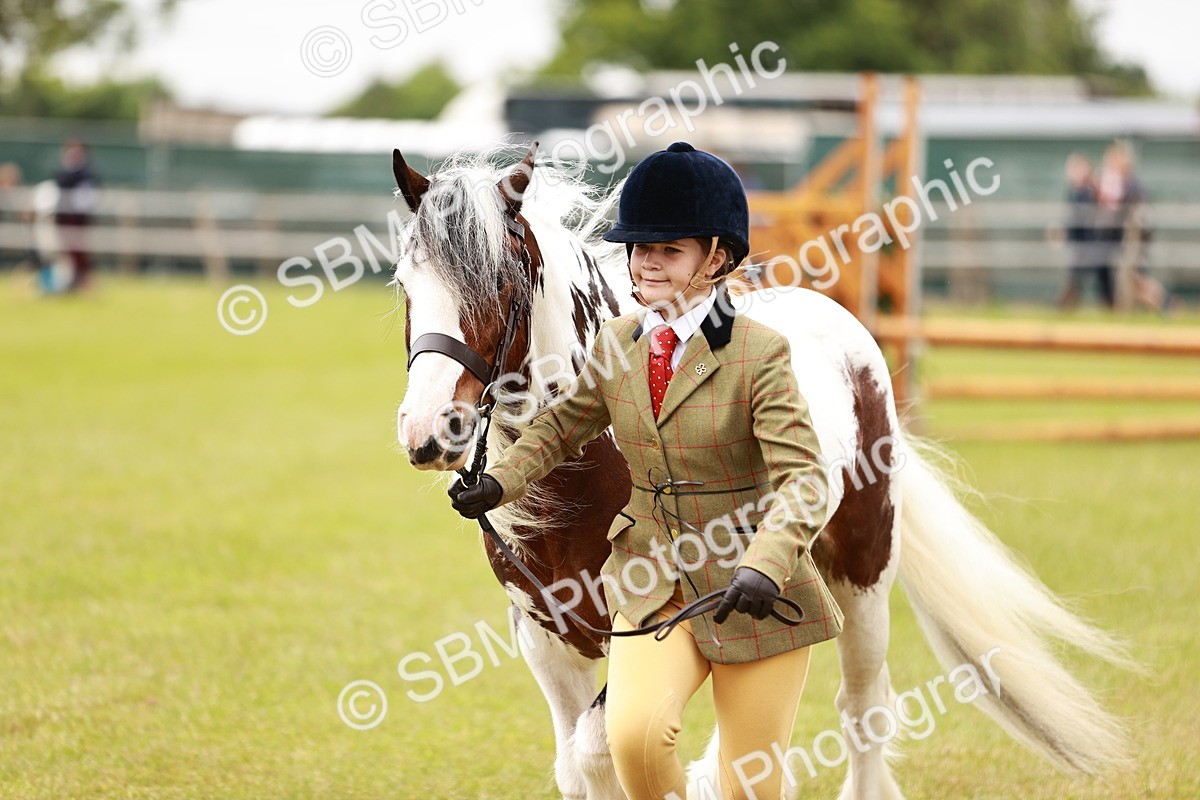 SBM_06066 - Class 39-41 TGCA In Hand and Ridden