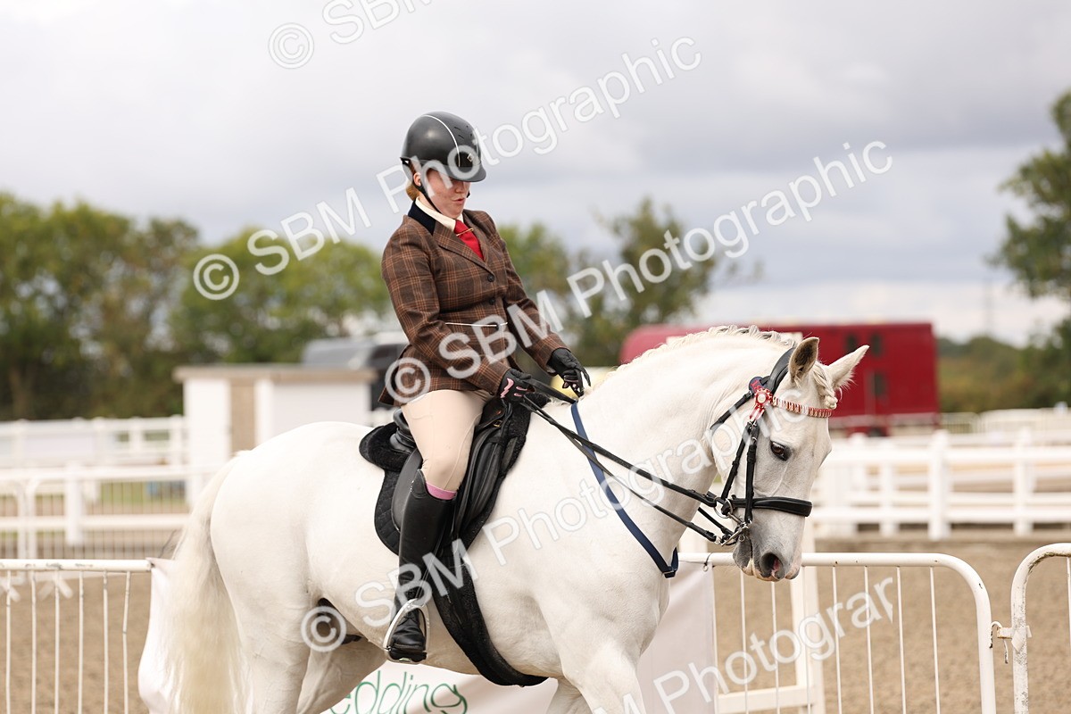 SBM_02774 - Class 53 - Ridden Competition Horse/Pony