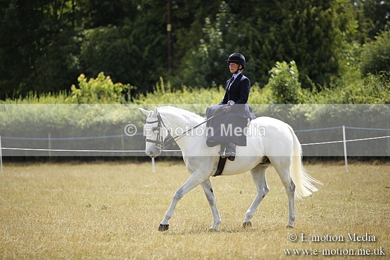 _C7A0283 - Side Saddle Classes BVRC Show 2018