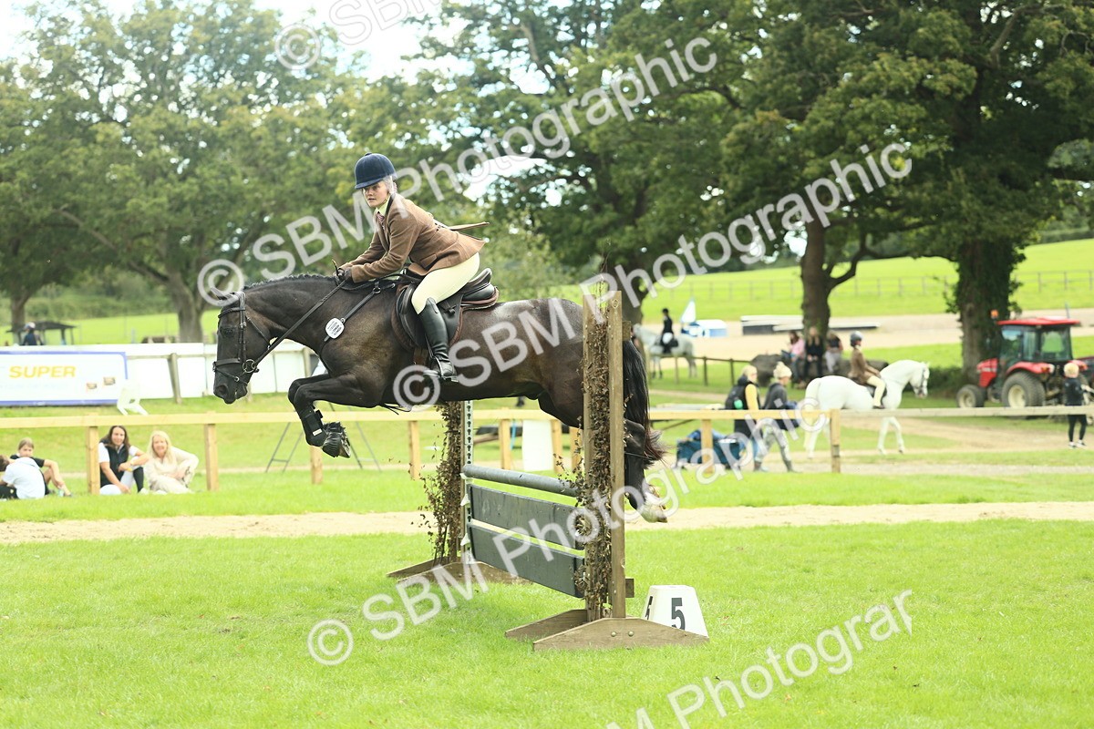 SBM_44774 - S31 - Working Hunter Pony