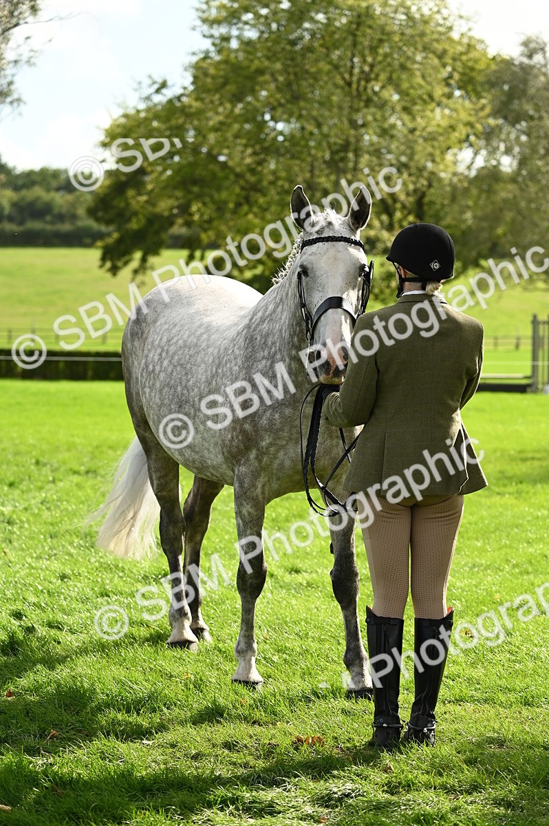 SBM_25015 - S5 - Novice & Newcomer In hand