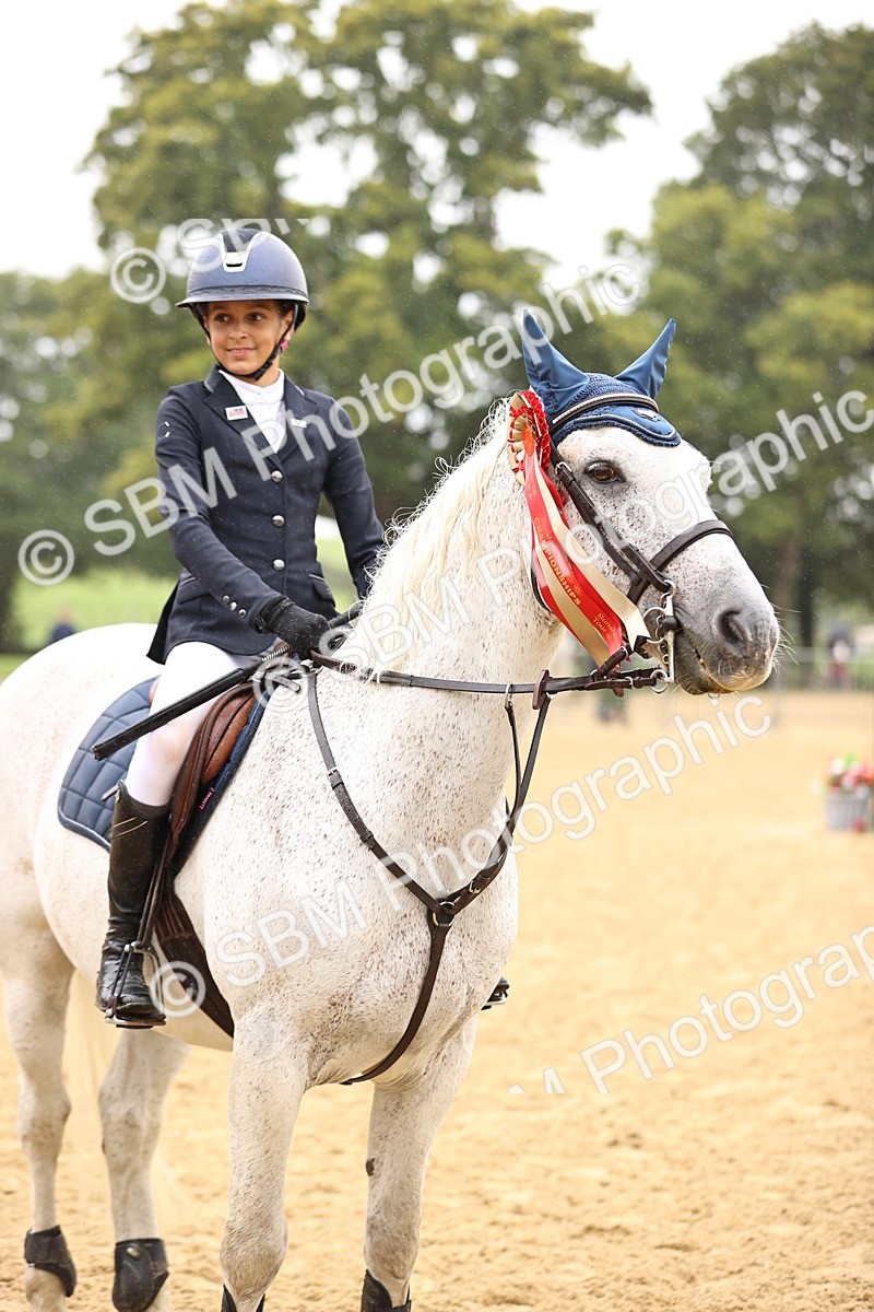 SBM_70098 - Supreme Championship 80cm 85cm