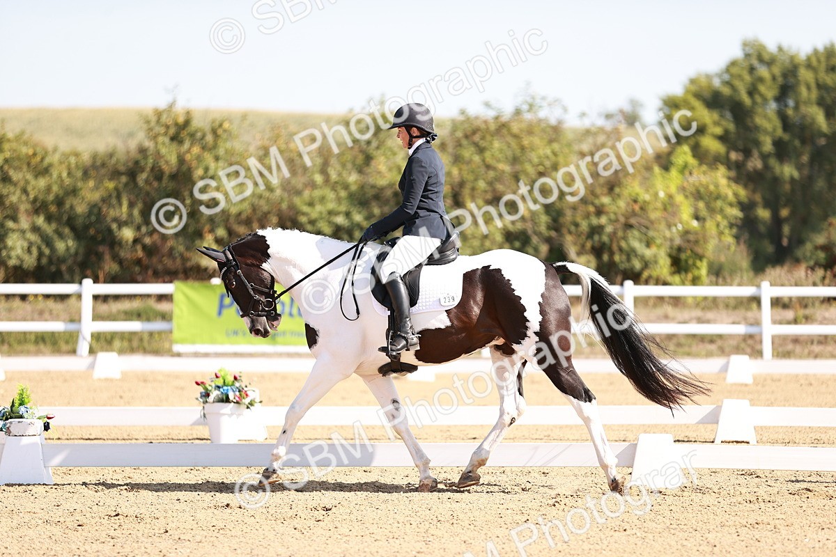 SBM_004347 - Class 12 - Novice 5 - 10.31-11.41