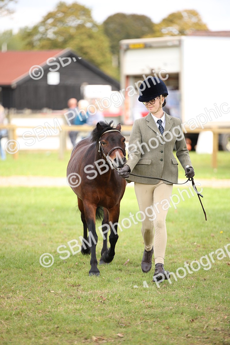 SBM_44484 - S24 - Young Veteran in hand