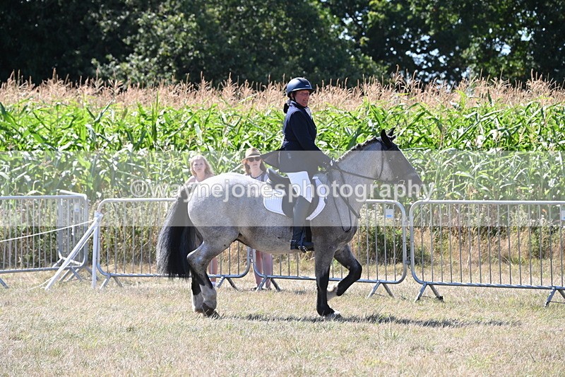 WJ6_8907 - Class 38 Ridden Riding Horse/Pony